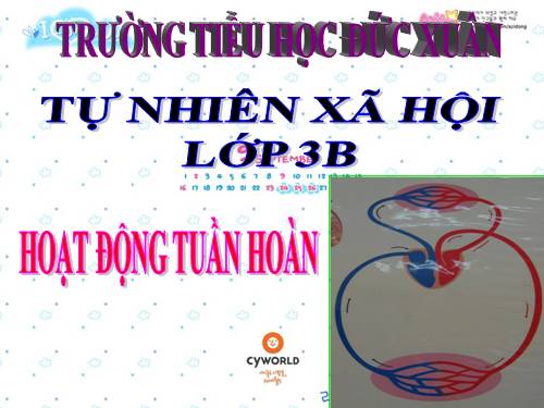 Bài 7. Hoạt động tuần hoàn