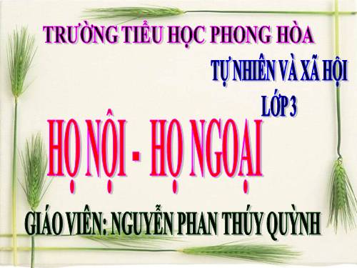 Bài 20. Họ nội, họ ngoại