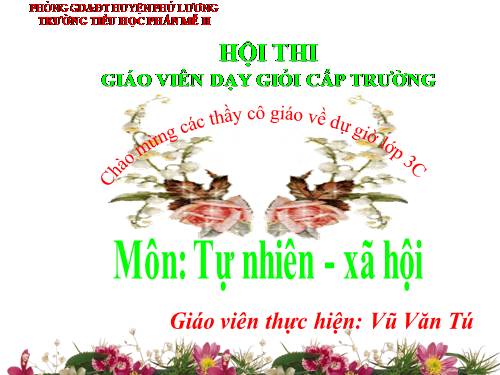 Bài 14. Hoạt động thần kinh (tiếp theo)