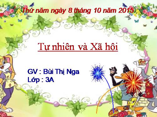 Bài 16. Vệ sinh thần kinh (tiếp theo)