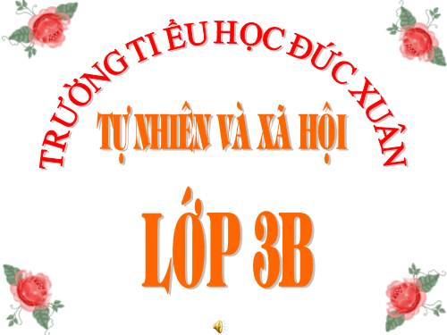 Bài 14. Hoạt động thần kinh (tiếp theo)