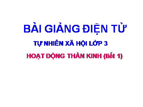 Bài 13. Hoạt động thần kinh