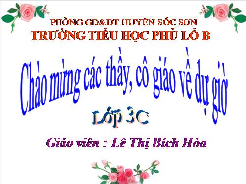 Bài 43. Rễ cây