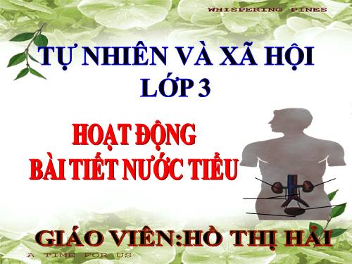 Bài 10. Hoạt động bài tiết nước tiểu