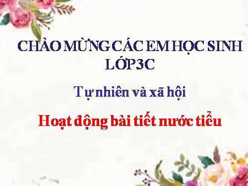 Bài 10. Hoạt động bài tiết nước tiểu