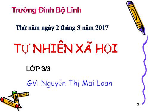 Bài 46. Khả năng kì diệu của lá cây