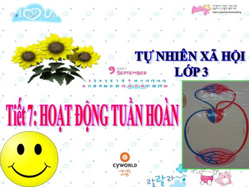 Bài 7. Hoạt động tuần hoàn