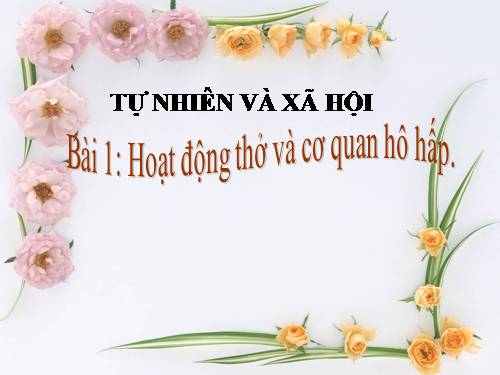 Bài 1. Hoạt động thở và cơ quan hô hấp