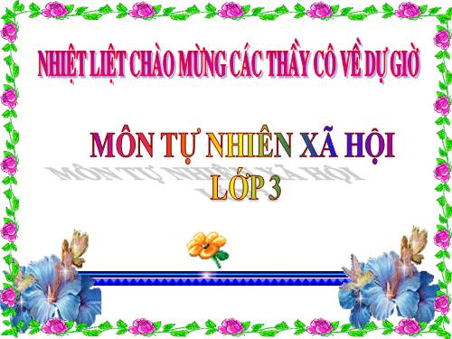 Bài 39. Ôn tập: Xã hội