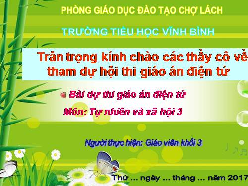 Bài 46. Khả năng kì diệu của lá cây