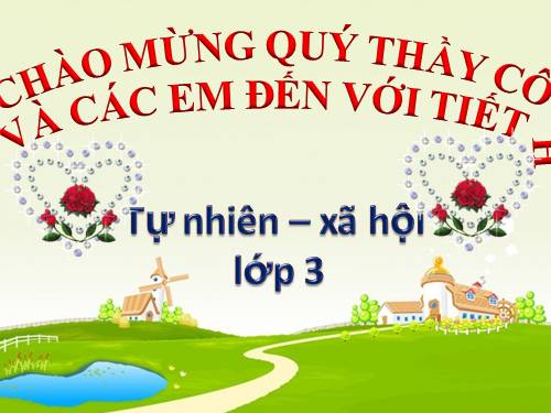 Bài 13. Hoạt động thần kinh