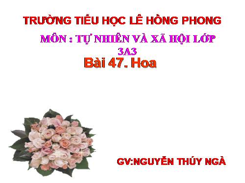 Bài 47. Hoa