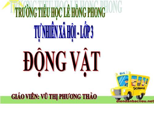 Bài 49. Động vật