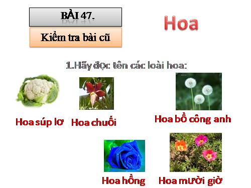 Bài 48. Quả