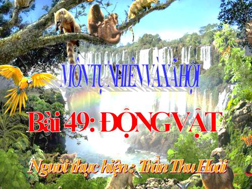 Bài 49. Động vật