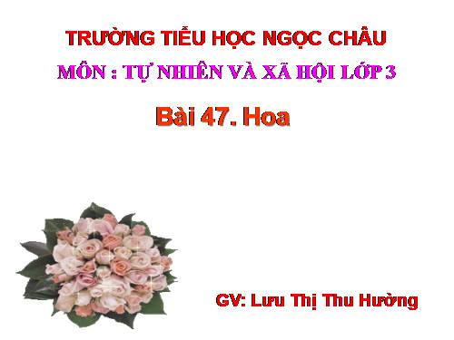 Bài 47. Hoa