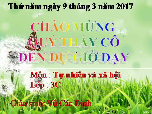 Bài 49. Động vật