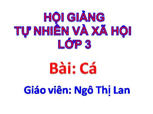 Bài 52. Cá