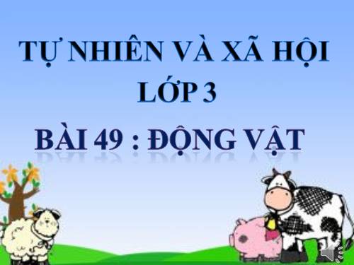 Bài 49. Động vật