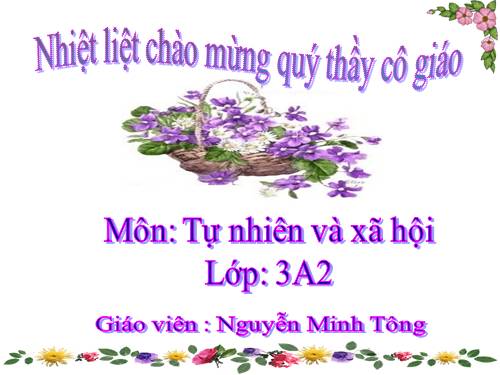 Bài 19. Các thế hệ trong một gia đình