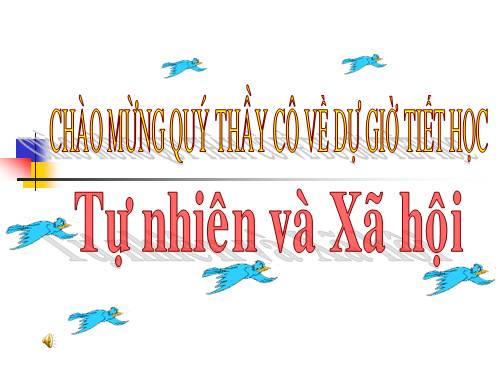 Bài 49. Động vật