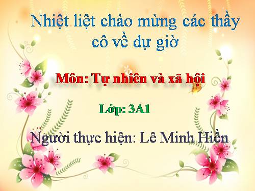 Bài 46. Khả năng kì diệu của lá cây