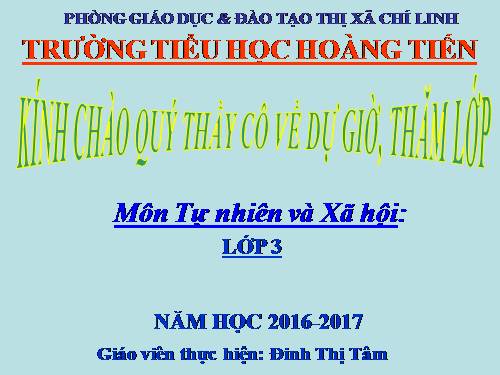 Bài 46. Khả năng kì diệu của lá cây