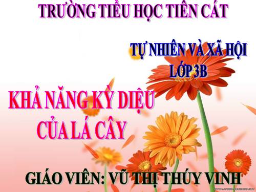 Bài 46. Khả năng kì diệu của lá cây