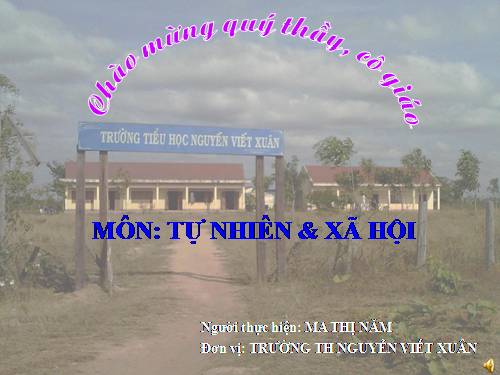 Bài 50. Côn trùng