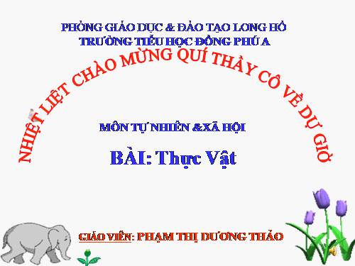 Bài 40. Thực vật