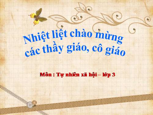 Bài 37. Vệ sinh môi trường (tiếp theo)