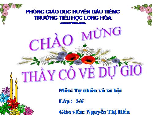 Bài 24. Một số hoạt động ở trường