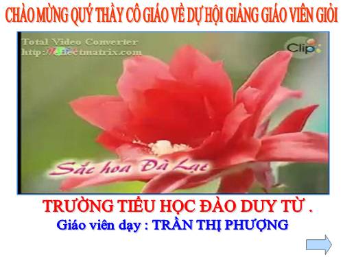 Bài 24. Một số hoạt động ở trường