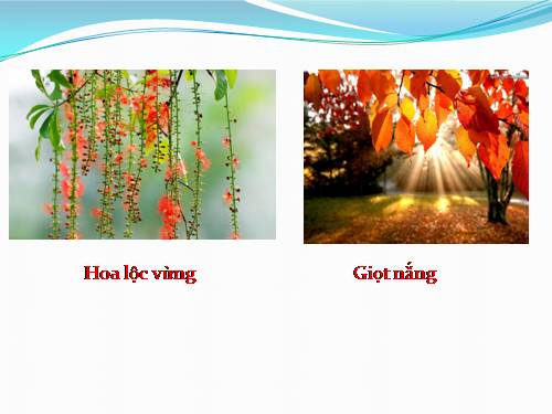 Bài thi Powerpoint đẹp mắt