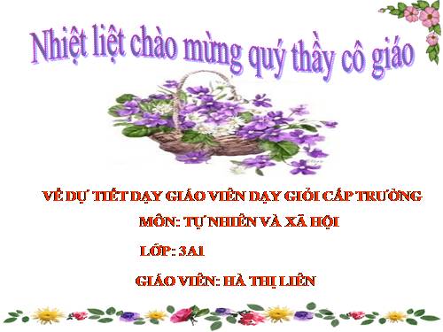 Bài 19. Các thế hệ trong một gia đình