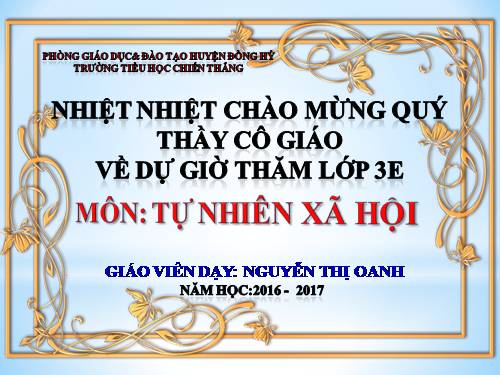 Bài 19. Các thế hệ trong một gia đình