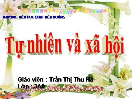 Bài 19. Các thế hệ trong một gia đình