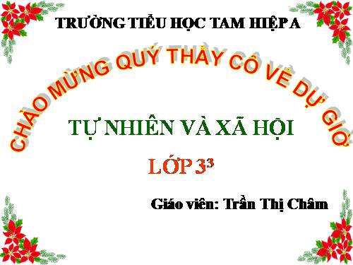 Bài 19. Các thế hệ trong một gia đình