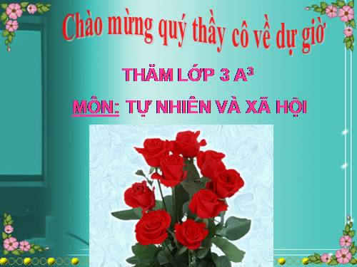 Bài 30. Hoạt động nông nghiệp