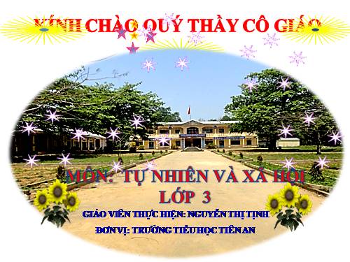 Bài 12. Cơ quan thần kinh