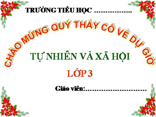 Bài 19. Các thế hệ trong một gia đình