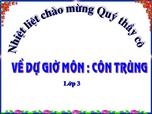 Bài 50. Côn trùng