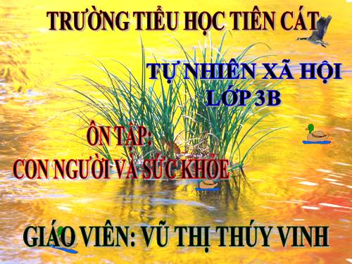 Bài 17-18. Ôn tập: Con người và sức khoẻ