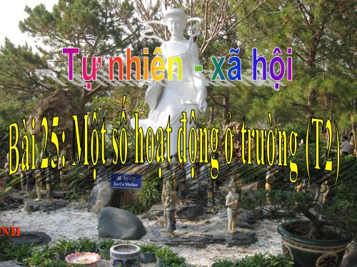 Tự nhiên và xa hội 3