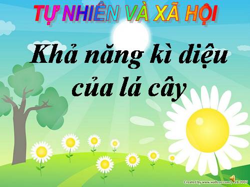 Bài 46. Khả năng kì diệu của lá cây