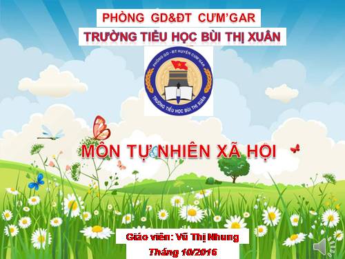 Bài 13. Hoạt động thần kinh