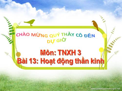 Bài 13. Hoạt động thần kinh