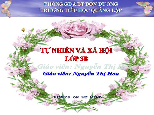 Bài 30. Hoạt động nông nghiệp