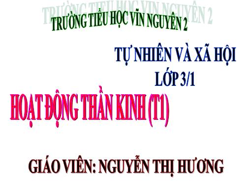 Bài 13. Hoạt động thần kinh