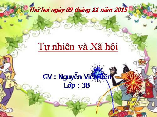 Bài 11. Vệ sinh cơ quan bài tiết nước tiểu